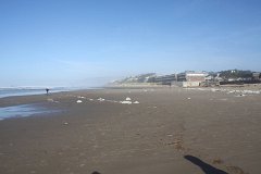 IMG 1100
