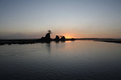 IMG 1179