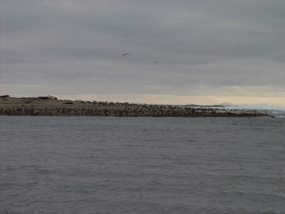 PC070060