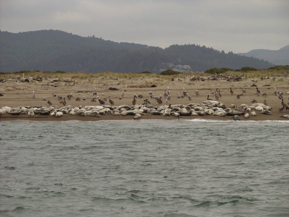 PC070111