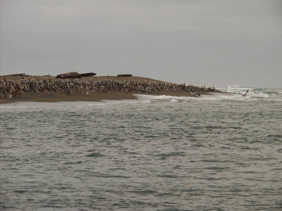 PC070115