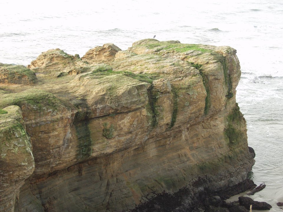 PC100455