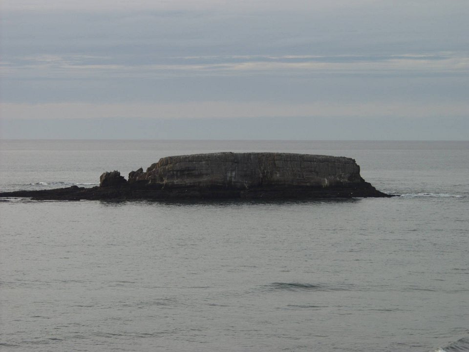 PC100458