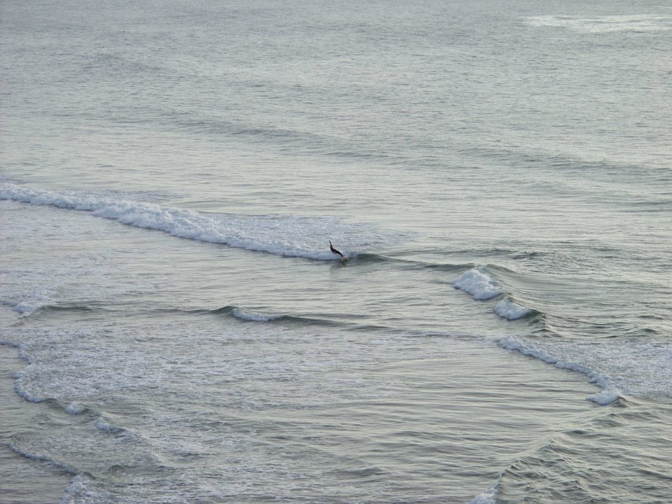 PC100475