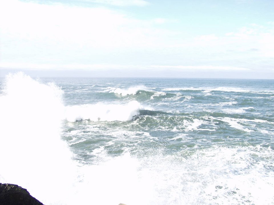 PC120542
