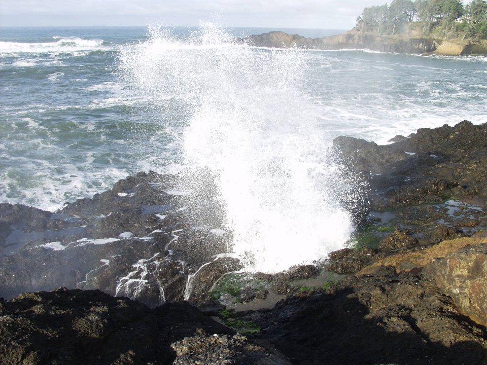 PC120554