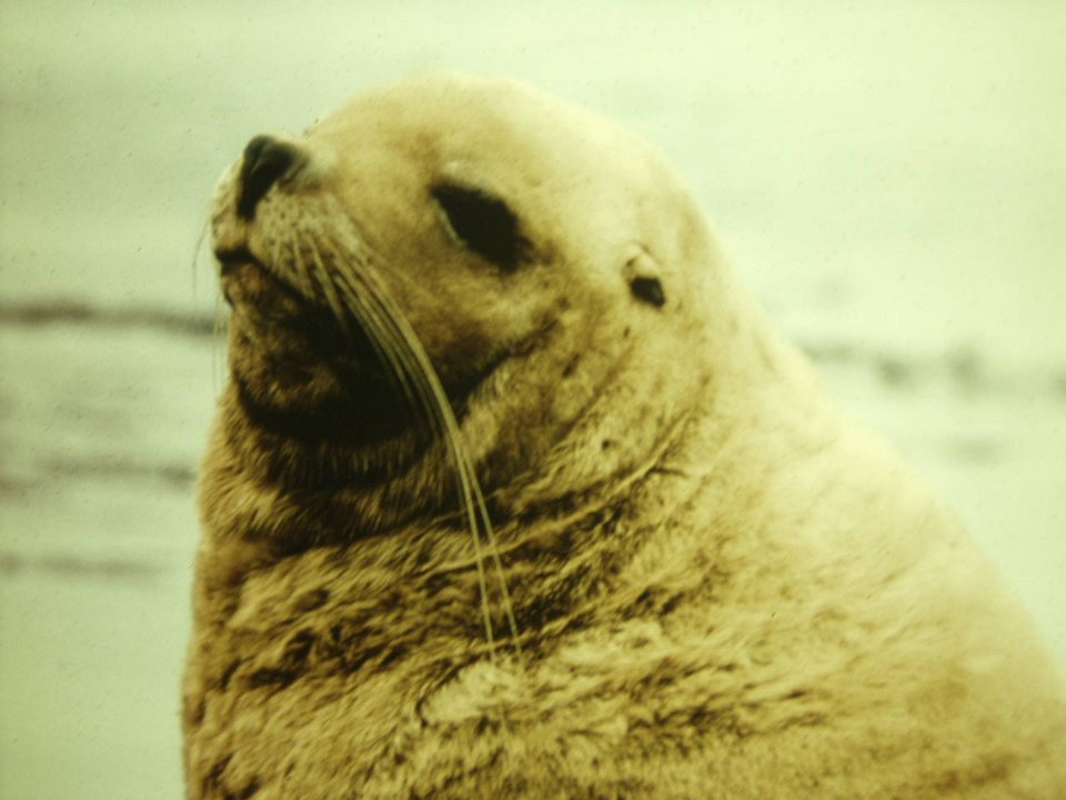 PC120629