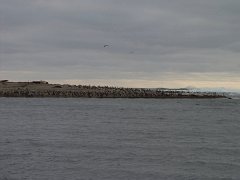 PC070060