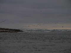 PC070066