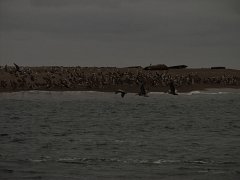 PC070086