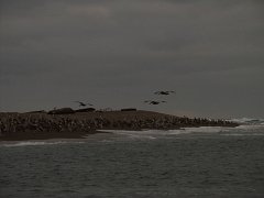 PC070087