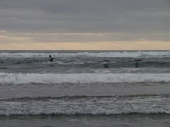 PC070088