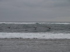 PC070089