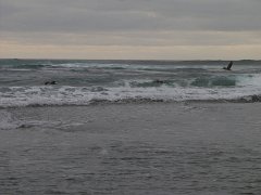 PC070090