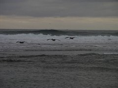 PC070094
