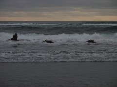 PC070095