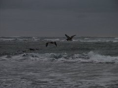 PC070096