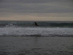 PC070099