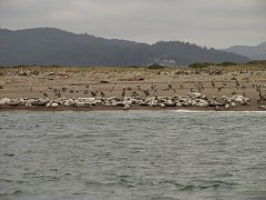 PC070111