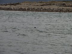 PC070116