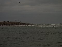 PC070124