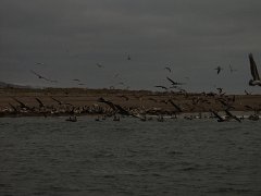 PC070125