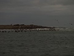 PC070126