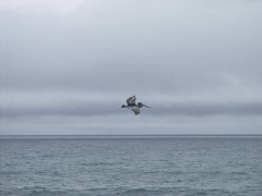 PC080189