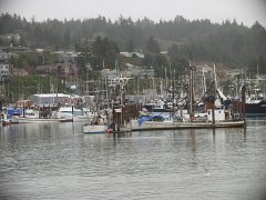 PC080246