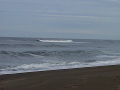 PC100299