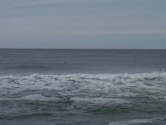 PC100309