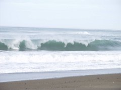 PC100365