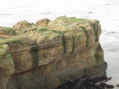 PC100455