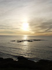 PC100461