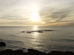 PC100462