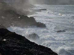 PC120535