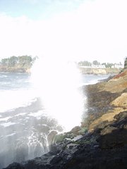 PC120541