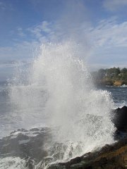 PC120551