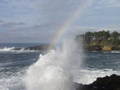 PC120553