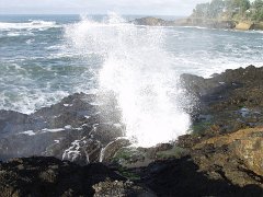 PC120554