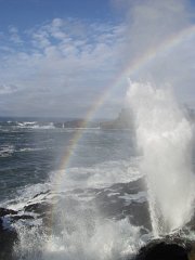 PC120555