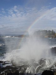 PC120556