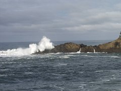 PC120569