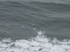 PC120584