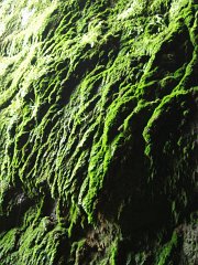 PC120611