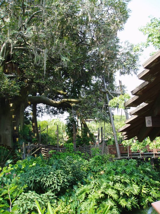 2005-Orlando 033