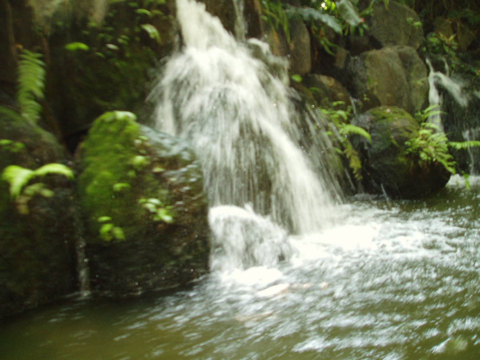 2005-Orlando 064
