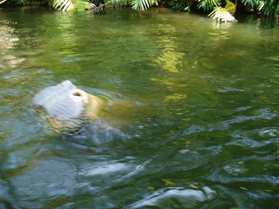 2005-Orlando 080