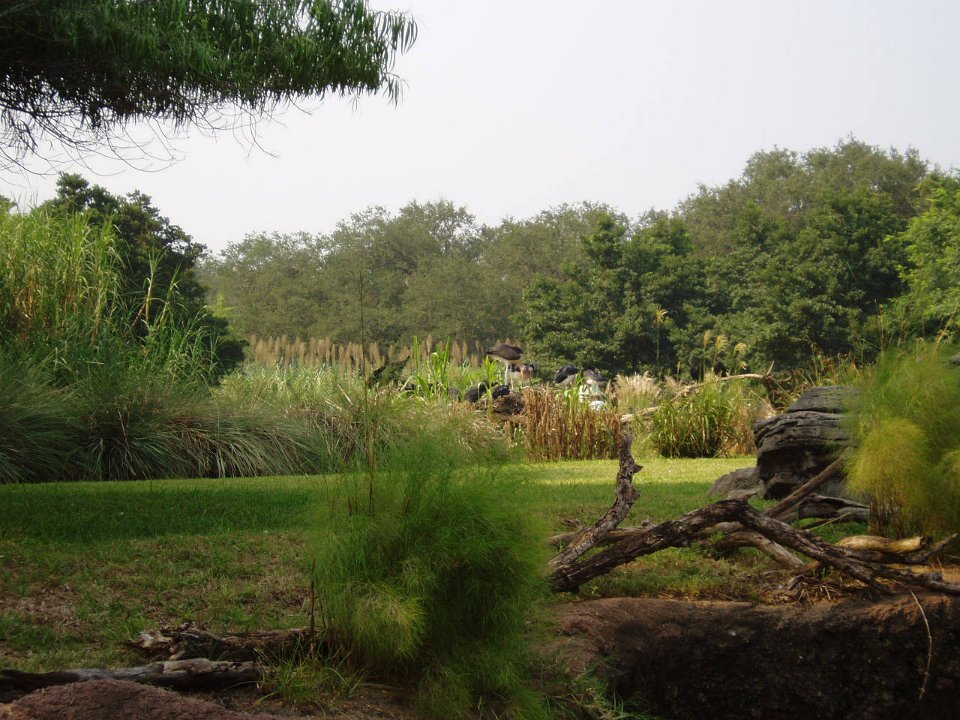 2005-Orlando 205