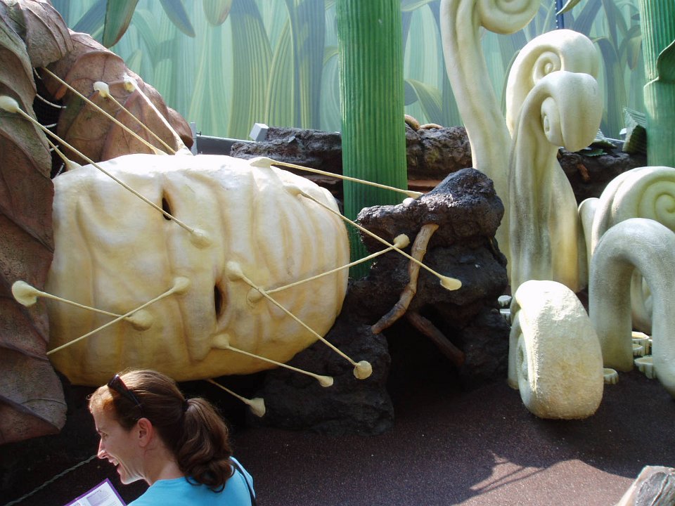 2005-Orlando 279
